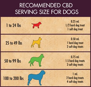 CBD Serving Size for Dogs
